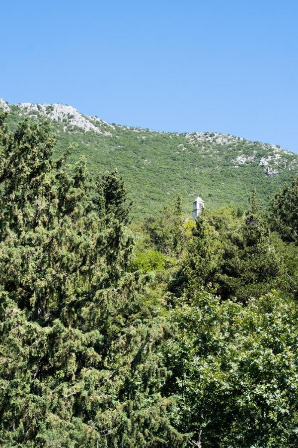 La Olga Apartment Lefkada Sívros 外观 照片
